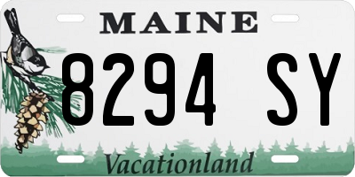 ME license plate 8294SY