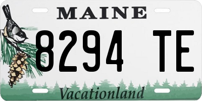 ME license plate 8294TE