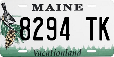 ME license plate 8294TK