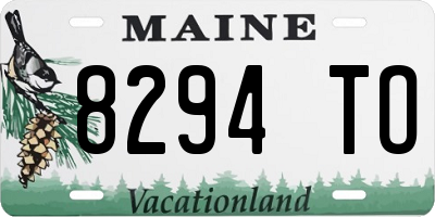 ME license plate 8294TO