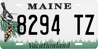 ME license plate 8294TZ