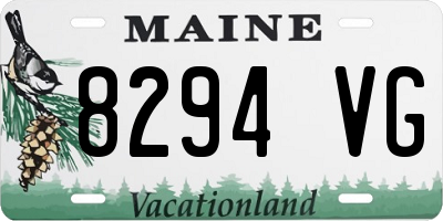 ME license plate 8294VG