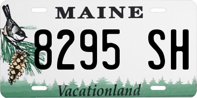 ME license plate 8295SH