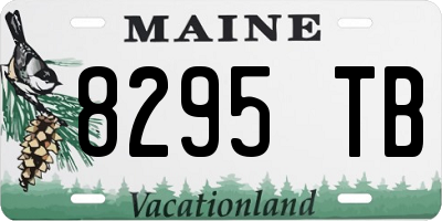 ME license plate 8295TB