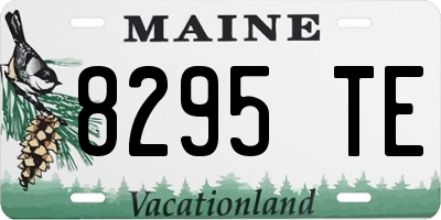 ME license plate 8295TE