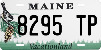 ME license plate 8295TP