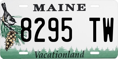 ME license plate 8295TW