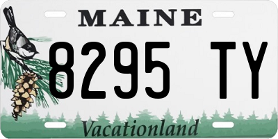 ME license plate 8295TY