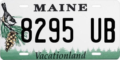 ME license plate 8295UB