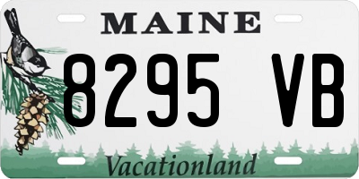 ME license plate 8295VB