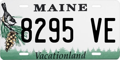 ME license plate 8295VE