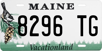 ME license plate 8296TG