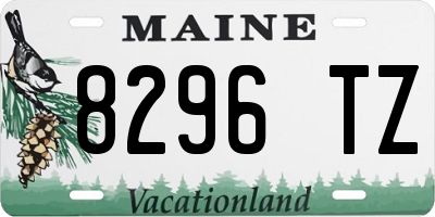 ME license plate 8296TZ