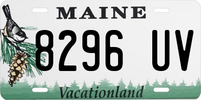 ME license plate 8296UV