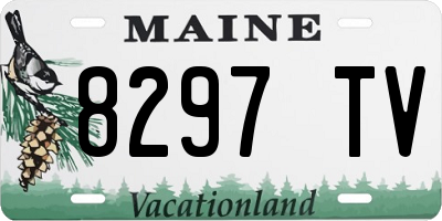 ME license plate 8297TV