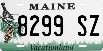 ME license plate 8299SZ