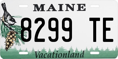 ME license plate 8299TE