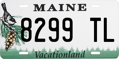 ME license plate 8299TL