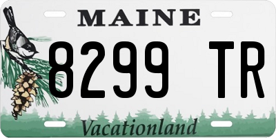 ME license plate 8299TR