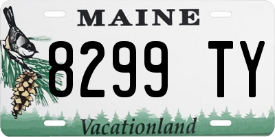 ME license plate 8299TY