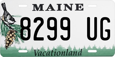 ME license plate 8299UG
