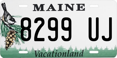 ME license plate 8299UJ