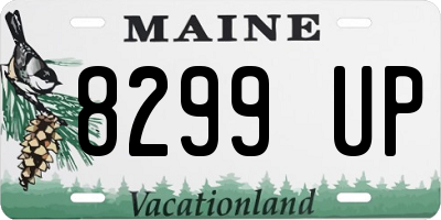 ME license plate 8299UP