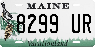 ME license plate 8299UR