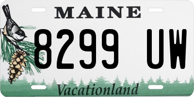 ME license plate 8299UW