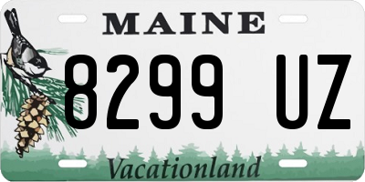 ME license plate 8299UZ