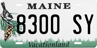 ME license plate 8300SY