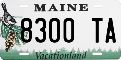 ME license plate 8300TA