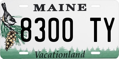 ME license plate 8300TY