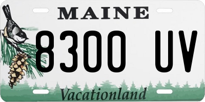 ME license plate 8300UV