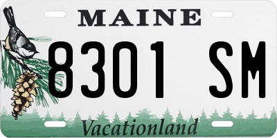 ME license plate 8301SM