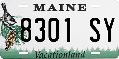 ME license plate 8301SY