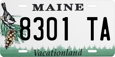 ME license plate 8301TA