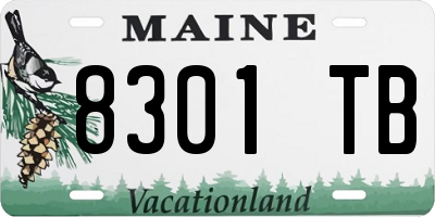 ME license plate 8301TB