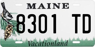 ME license plate 8301TD