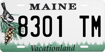 ME license plate 8301TM