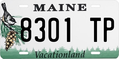 ME license plate 8301TP