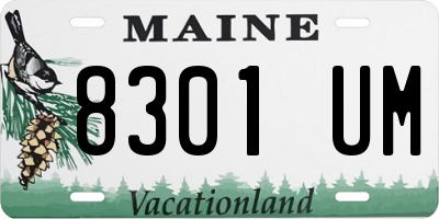 ME license plate 8301UM