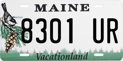 ME license plate 8301UR