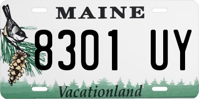 ME license plate 8301UY