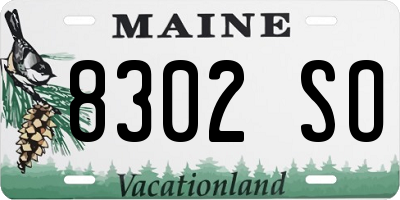 ME license plate 8302SO