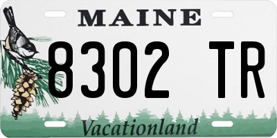 ME license plate 8302TR