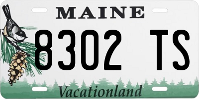 ME license plate 8302TS