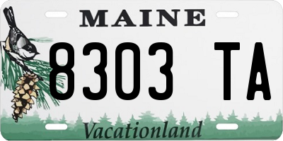 ME license plate 8303TA