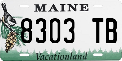 ME license plate 8303TB