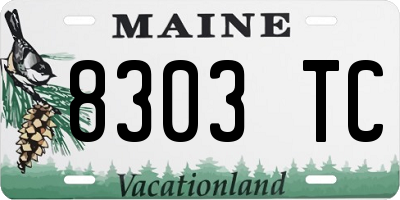 ME license plate 8303TC